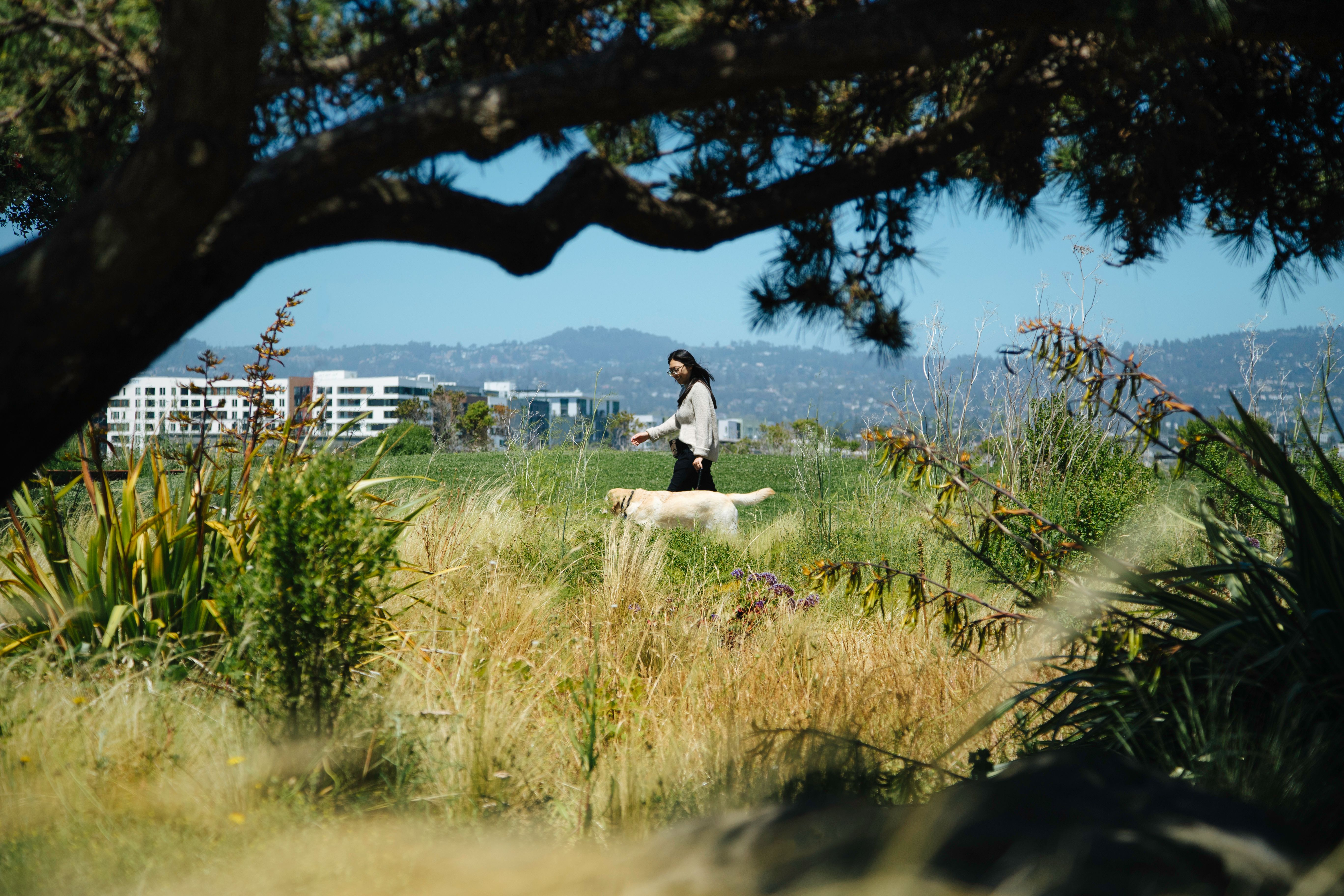 A people operations specialist walking a dog outside the Science Corporation office. The dog's name is Edith.