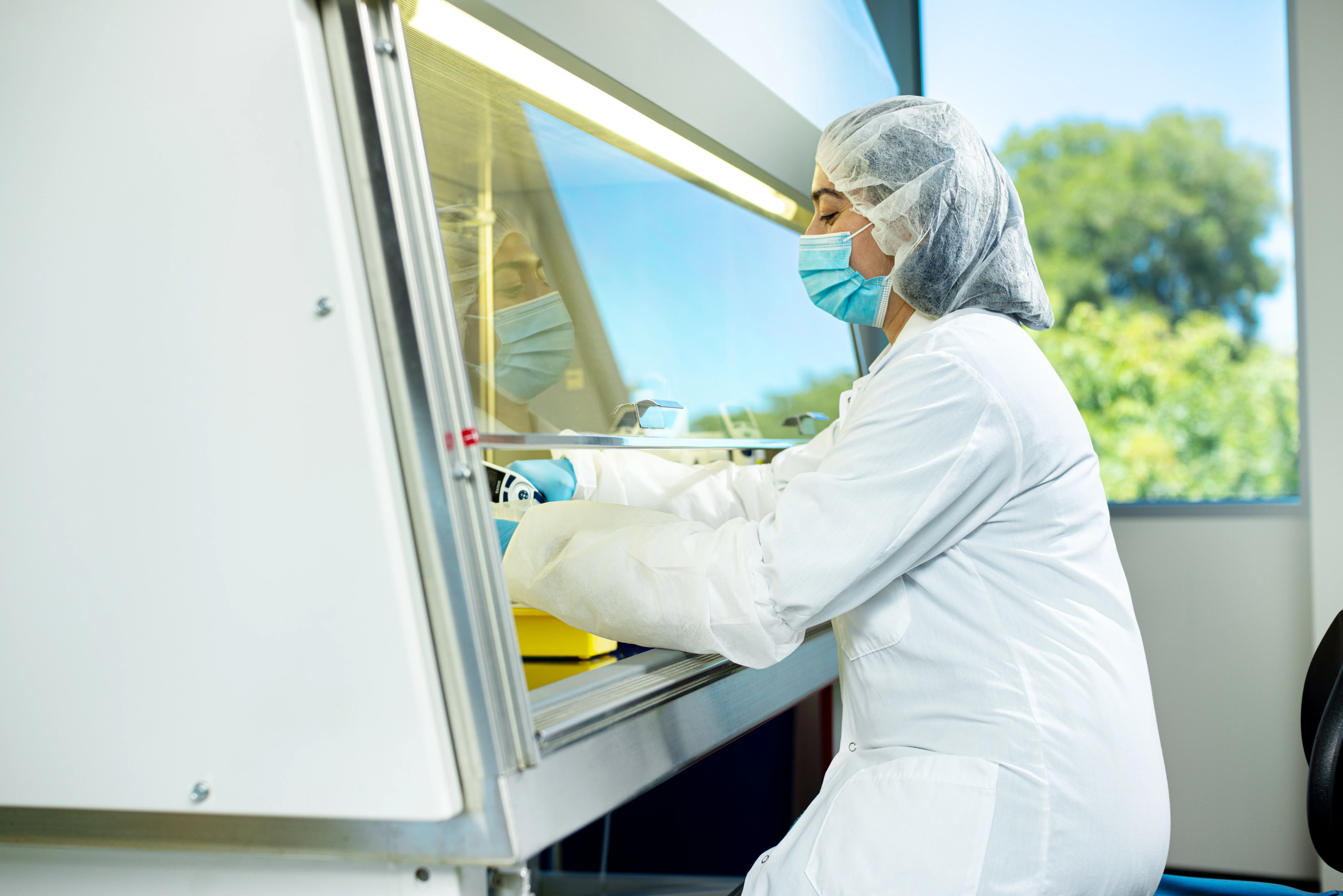 A scientist in the Alameda office works behind the partially closed sash of a biosafety cabinet.