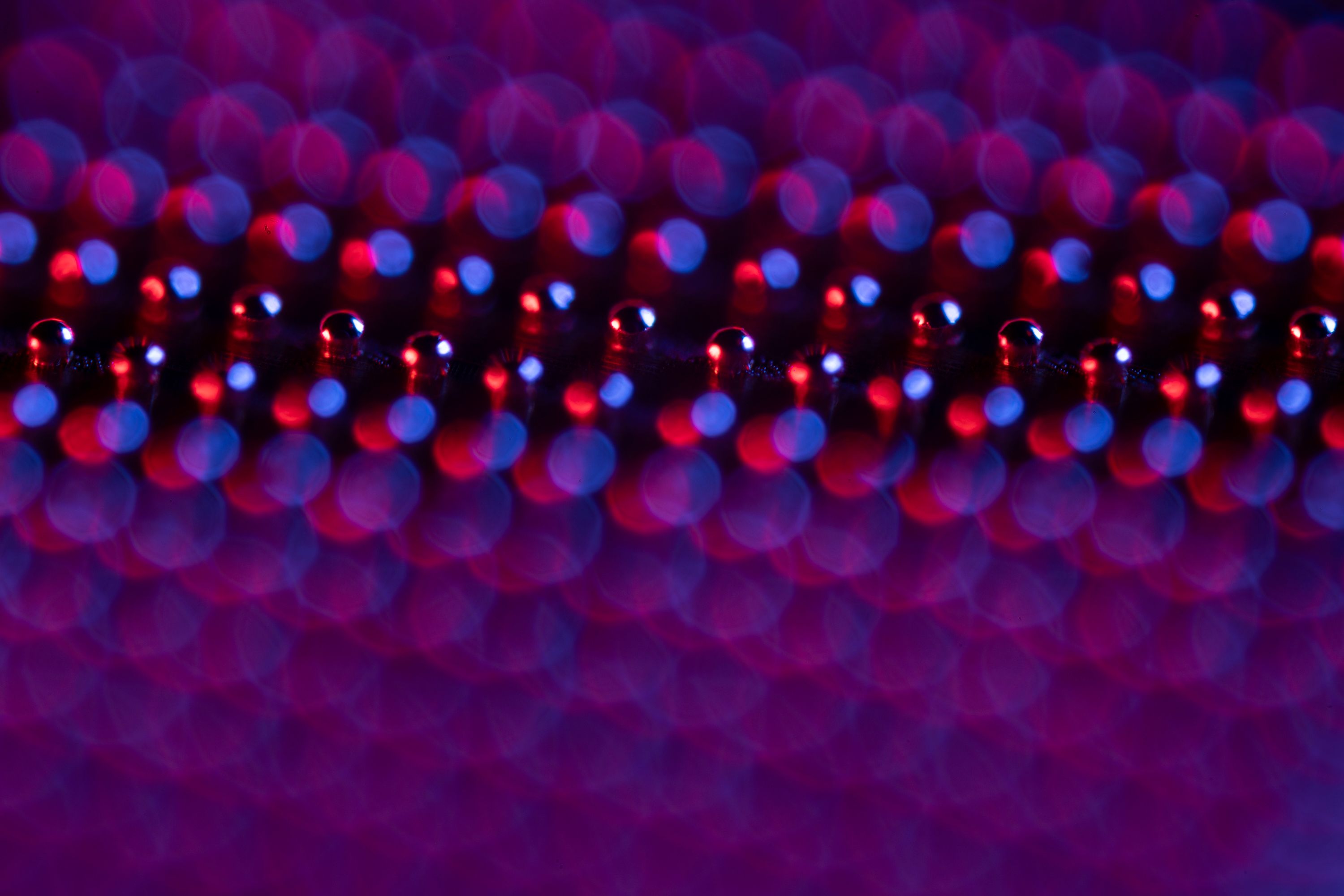 An artistically lit extreme closeup of the rounded copper bumps on the back of a Science Chip. Each bump reflects red light from the left and blue light from the right.