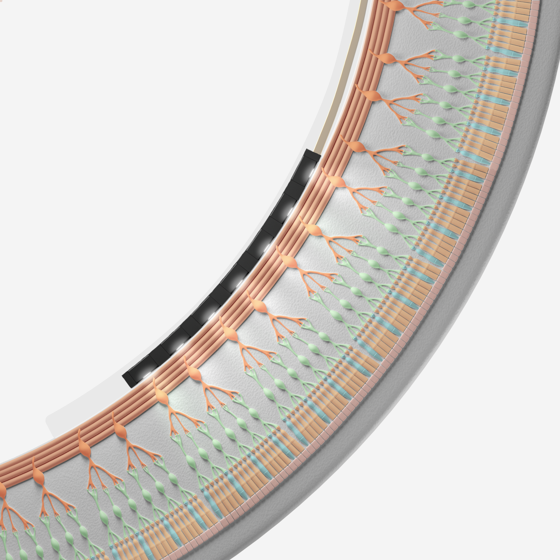 A diagram of a microLED array curving to conform to the retina.