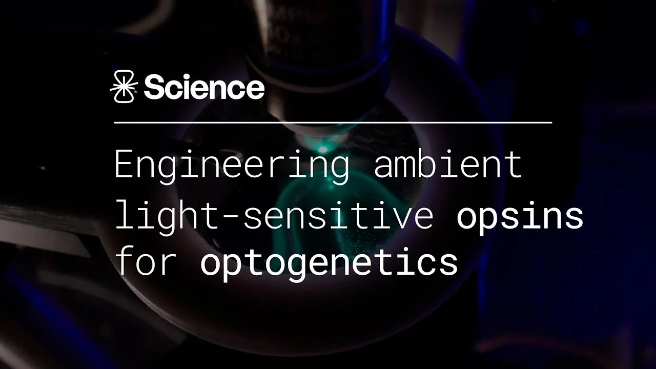 Watch on YouTube: Engineering ambient light-sensitive opsins for optogenetics