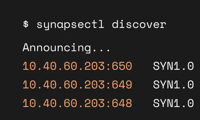 Terminal running synapsectl discover