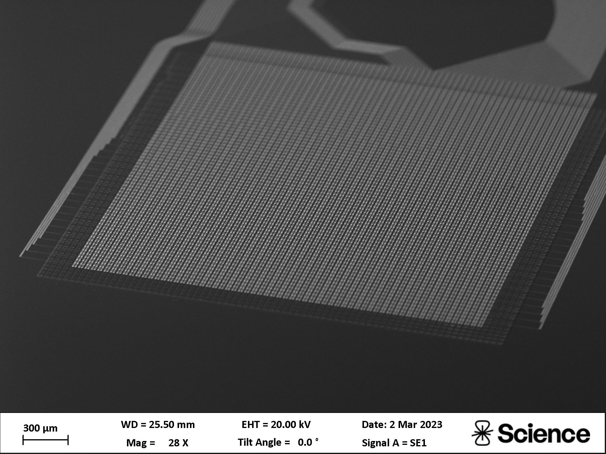 Photo showcasing a thin film electrode on a flexible neural array