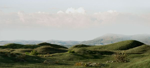 Rollling green hills with sparse vegetation against a light blue sky